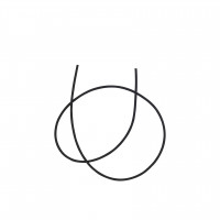 Artikelbild Artikelbild