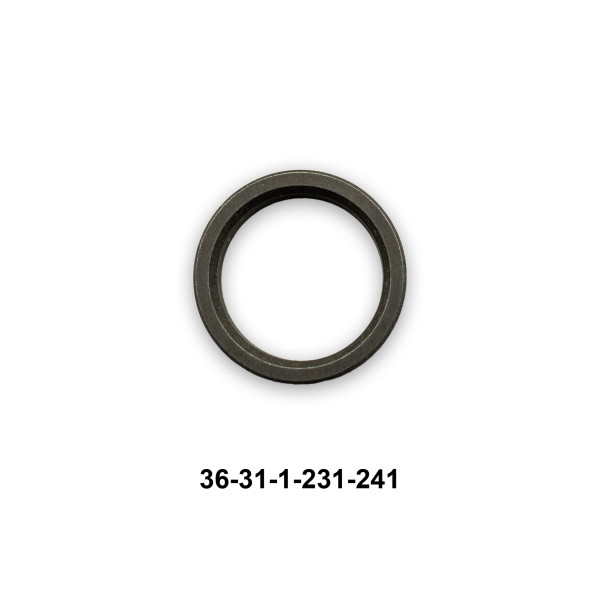36-31-1-231-241_1
