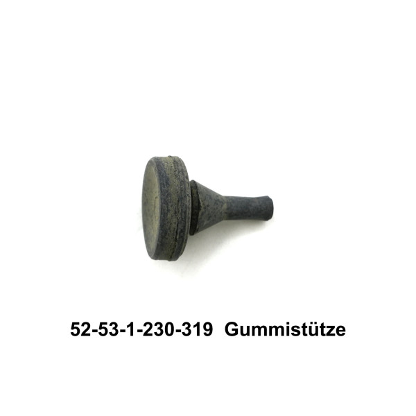 52-53-1-230-319_1