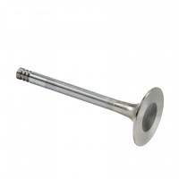 Artikelbild Artikelbild