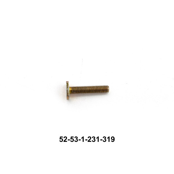 52-53-1-231-319_1