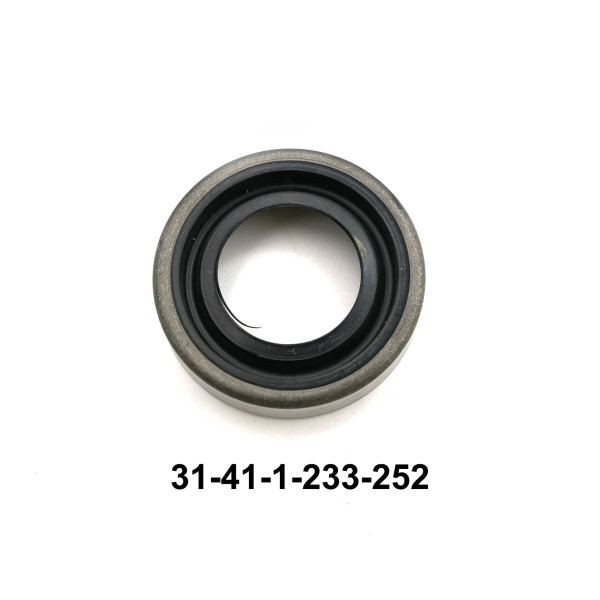 31-41-1-233-252_1
